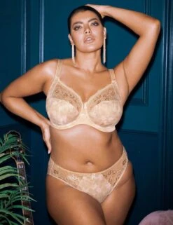 Elomi Morgan Brief - Toasted Almond 11 Elomi Morgan Brief - Toasted Almond -Belle Lingerie Store 21184 elomi morgan brief toasted almond 6