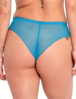 Curvy Kate Lifestyle Shorty Brief - Capri Blue 10 Curvy Kate Lifestyle Shorty Brief - Capri Blue -Belle Lingerie Store 26313 curvy kate lifestyle shorty brief capri blue 3