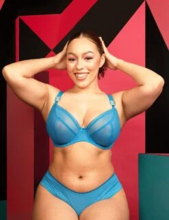 Curvy Kate Lifestyle Shorty Brief - Capri Blue 15 Curvy Kate Lifestyle Shorty Brief - Capri Blue -Belle Lingerie Store 26313 curvy kate lifestyle shorty brief capri blue 8