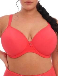 Elomi Bijou Moulded T Shirt Bra - Cayenne