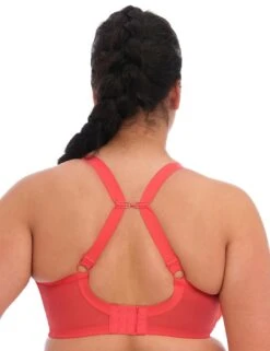 Elomi Bijou Moulded T Shirt Bra - Cayenne 9 Elomi Bijou Moulded T Shirt Bra - Cayenne -Belle Lingerie Store 26502 elomi bijou moulded t shirt bra cayenne 3