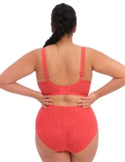 Elomi Bijou Moulded T Shirt Bra - Cayenne 12 Elomi Bijou Moulded T Shirt Bra - Cayenne -Belle Lingerie Store 26502 elomi bijou moulded t shirt bra cayenne 6