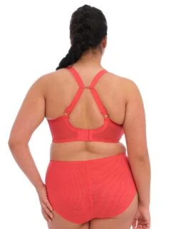 Elomi Bijou Moulded T Shirt Bra - Cayenne 13 Elomi Bijou Moulded T Shirt Bra - Cayenne -Belle Lingerie Store 26502 elomi bijou moulded t shirt bra cayenne 7