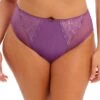 Elomi Charley High Leg Brief - Pansy