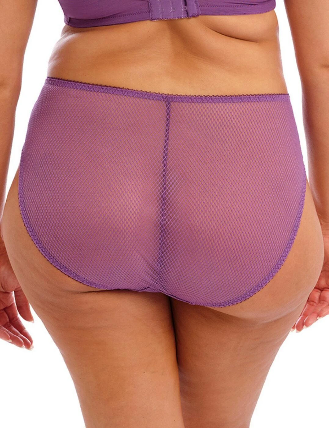 Elomi Charley High Leg Brief - Pansy 2 Elomi Charley High Leg Brief - Pansy - Image 2