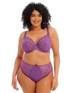 Elomi Charley High Leg Brief - Pansy 7 Elomi Charley High Leg Brief - Pansy -Belle Lingerie Store 36230 elomi charley high leg brief pansy 4