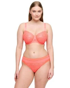 Prima Donna Sophora Thong - Spritz 13 Prima Donna Sophora Thong - Spritz -Belle Lingerie Store 42454 prima donna sophora thong spritz 6