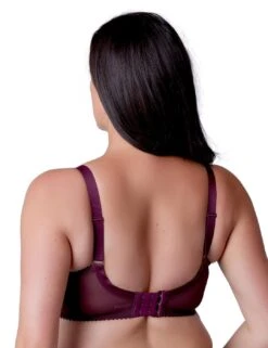 Berlei Embrace Side Support Bra - Fig -Belle Lingerie Store 43736 berlei embrace side support bra fig 2