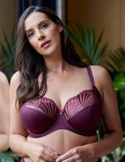 Berlei Embrace Side Support Bra - Fig -Belle Lingerie Store 43736 berlei embrace side support bra fig 8