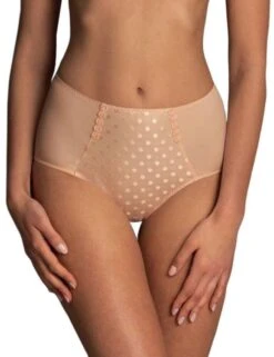Anita Airita High Waist Brief+ - Light Powder