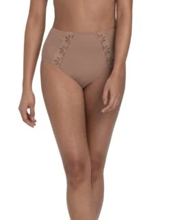 Anita Sophia High Waist Brief - Dusty Rose
