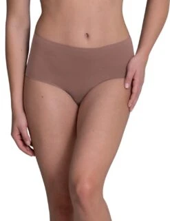 Anita Essentials High Waist Brief - Berry