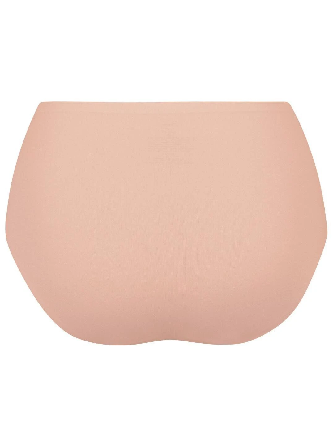 Anita Essentials High Waist Brief - Smart Rose 4 Anita Essentials High Waist Brief - Smart Rose - Image 4