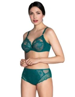 Lise Charmel Sublime En Dentelle High Waist Brief - Vert Princesse -Belle Lingerie Store 51594 lise charmel sublime en dentelle high waist brief vert princesse 6
