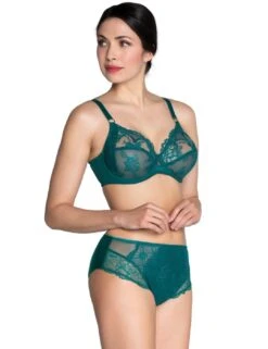 Lise Charmel Sublime En Dentelle High Waist Brief - Vert Princesse -Belle Lingerie Store 51594 lise charmel sublime en dentelle high waist brief vert princesse 8