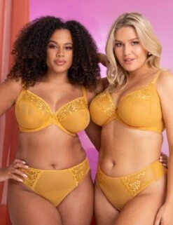 Curvy Kate Centre Stage Deep Thong - Turmeric 7 Curvy Kate Centre Stage Deep Thong - Turmeric -Belle Lingerie Store 52431 curvy kate centre stage deep thong turmeric 4
