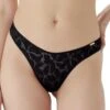 Gossard Glossies Lotus Thong - Black