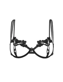 Bluebella Nova Bra - Black 11 Bluebella Nova Bra - Black -Belle Lingerie Store 56662 bluebella nova bra black 4