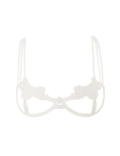 Bluebella Nova Open Cup Bra - Ivory 11 Bluebella Nova Open Cup Bra - Ivory -Belle Lingerie Store 56667 bluebella nova open cup bra ivory 4