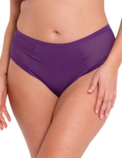 Curvy Kate WonderFully Shorty Brief - Purple