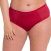 Curvy Kate WonderFully Shorty Brief - Strawberry Red