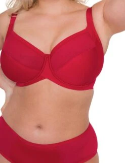 Curvy Kate WonderFully Shorty Brief - Strawberry Red -Belle Lingerie Store 56984 curvy kate wonderfully shorty brief strawberry red 4