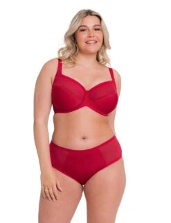 Curvy Kate WonderFully Shorty Brief - Strawberry Red -Belle Lingerie Store 56984 curvy kate wonderfully shorty brief strawberry red 5