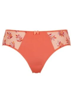 Panache Tango Brief - Tropical -Belle Lingerie Store 57636 panache tango brief tropical 3