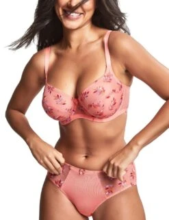 Panache Tango Brief - Tropical -Belle Lingerie Store 57636 panache tango brief tropical 4