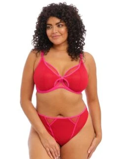 Elomi Kintai Thong - Cha Cha 11 Elomi Kintai Thong - Cha Cha -Belle Lingerie Store 57902 elomi kintai thong cha cha 5