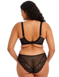Elomi Lucie Brazilian Brief - Rock 'N' Rose -Belle Lingerie Store 58382 elomi lucie brazilian brief rock n rose 4