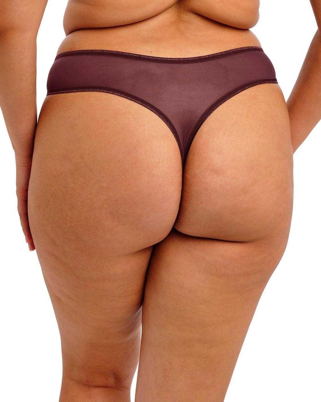 Elomi Matilda Thong - Sugarplum 2 Elomi Matilda Thong - Sugarplum - Image 2