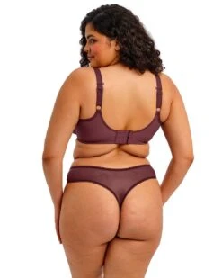 Elomi Matilda Thong - Sugarplum 13 Elomi Matilda Thong - Sugarplum -Belle Lingerie Store 58440 elomi matilda thong sugarplum 6