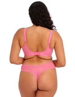 Elomi Matilda Thong - Wild Cherry 12 Elomi Matilda Thong - Wild Cherry -Belle Lingerie Store 58440 elomi matilda thong wild cherry 6