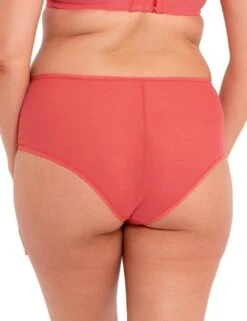 Curvy Kate Victory Shorty Brief - Papaya -Belle Lingerie Store 58482 curvy kate victory shorty brief papaya 4