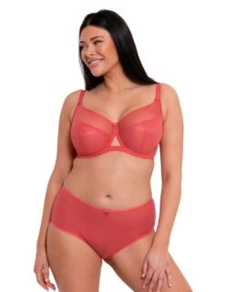 Curvy Kate Victory Shorty Brief - Papaya -Belle Lingerie Store 58482 curvy kate victory shorty brief papaya 5