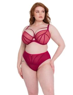 Scantilly By Curvy Kate Senses High Waist Brief - Cherry -Belle Lingerie Store 58693 scantilly by curvy kate senses high waist brief cherry 4