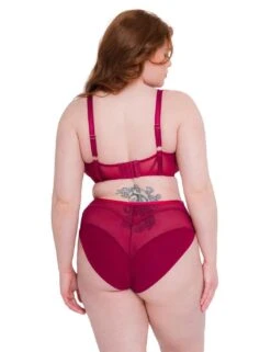 Scantilly By Curvy Kate Senses High Waist Brief - Cherry -Belle Lingerie Store 58693 scantilly by curvy kate senses high waist brief cherry 5