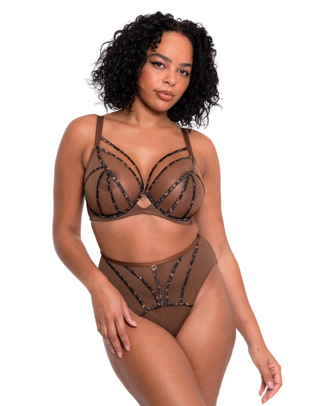 Scantilly By Curvy Kate Senses High Waist Brief - Leopard Brown 4 Scantilly By Curvy Kate Senses High Waist Brief - Leopard Brown - Image 4