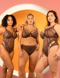 Scantilly By Curvy Kate Senses High Waist Brief - Leopard Brown 11 Scantilly By Curvy Kate Senses High Waist Brief - Leopard Brown -Belle Lingerie Store 58693 scantilly by curvy kate senses high waist brief leopard brown 6