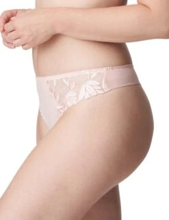 Prima Donna Orlando Thong - Pearly Pink -Belle Lingerie Store 59449 prima donna orlando thong pearly pink 3