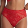 Aubade Flowermania High Waist Brief - Rouge Floral