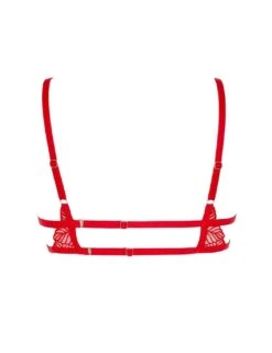 Bluebella Enya Demi Cup Bra - Red -Belle Lingerie Store 59778 bluebella enya demi cup bra red 4