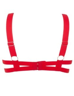 Bluebella Orion Half Cup Bra - Red 10 Bluebella Orion Half Cup Bra - Red -Belle Lingerie Store 59952 bluebella orion half cup bra red 4