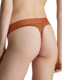 Calvin Klein Intrinsic Lace Thong - Gingerbread -Belle Lingerie Store 60025 calvin klein intrinsic lace thong gingerbread 2