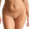 Panache Allure Thong - Honey