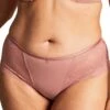 Panache Radiance Deep Brief - Ash Rose