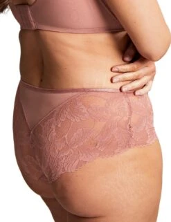 Panache Radiance Deep Brief - Ash Rose -Belle Lingerie Store 61190 panache radiance deep brief ash rose 3