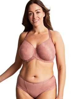 Panache Radiance Deep Brief - Ash Rose -Belle Lingerie Store 61190 panache radiance deep brief ash rose 4
