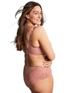 Panache Radiance Deep Brief - Ash Rose -Belle Lingerie Store 61190 panache radiance deep brief ash rose 6